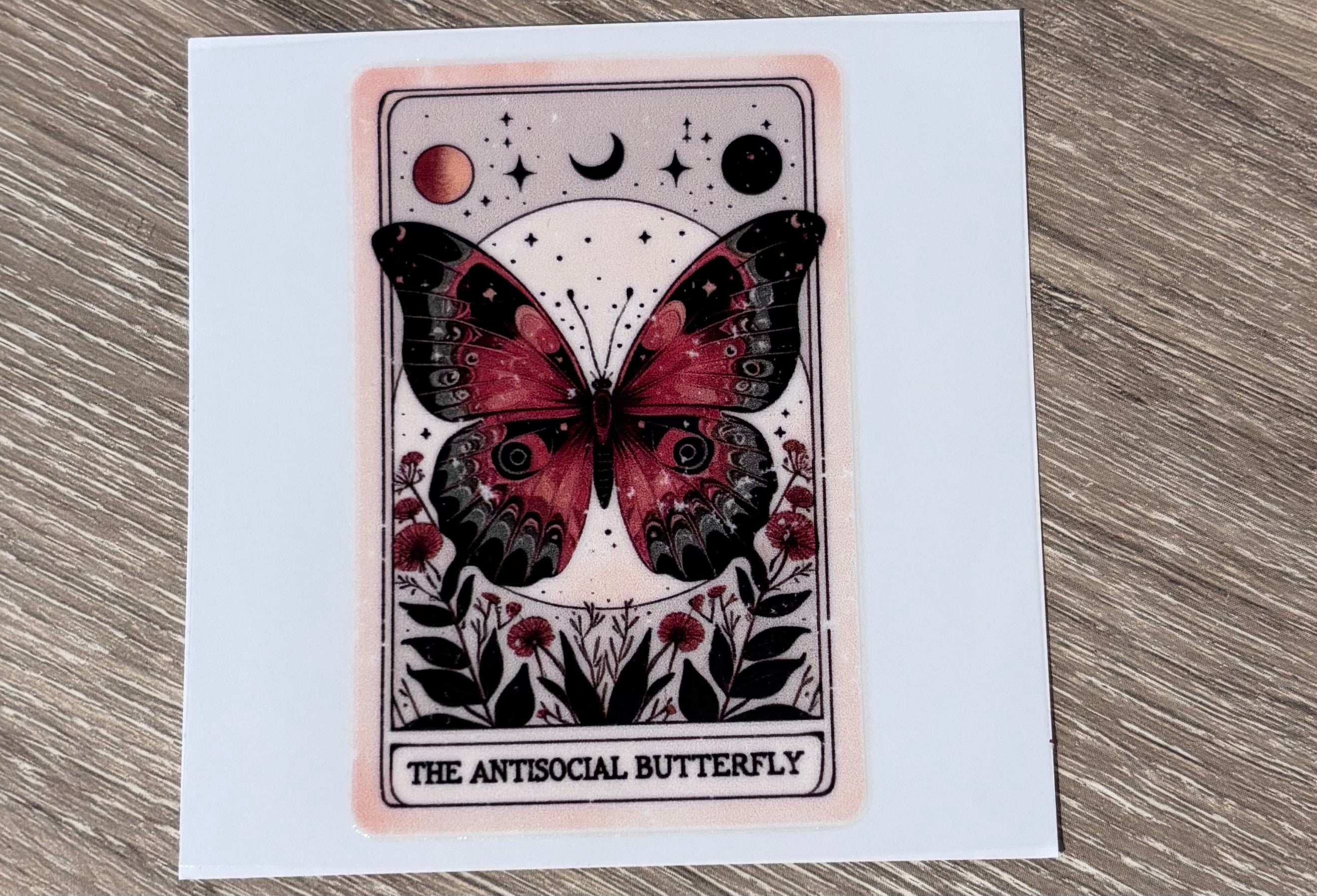 The Antisocial Butterfly